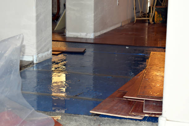 Professional Basement Flood Cleanup technician working in Rushford, MN